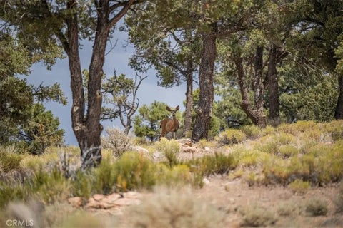 Tiny photo for 550 Eagle Ridge Rd, Big Bear Lake, CA 92314 (MLS # CV26215841)
