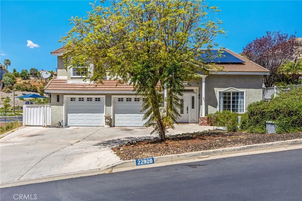 22920 Green Pine