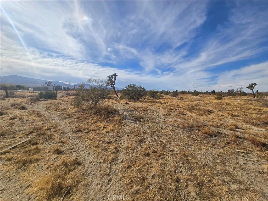 Photo of 0 263rd, Pinon Hills, CA 92372 (MLS # SR25244252)