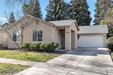 Photo of 1025 Raven Lane, Chico, CA 95926 (MLS # SN26030220)