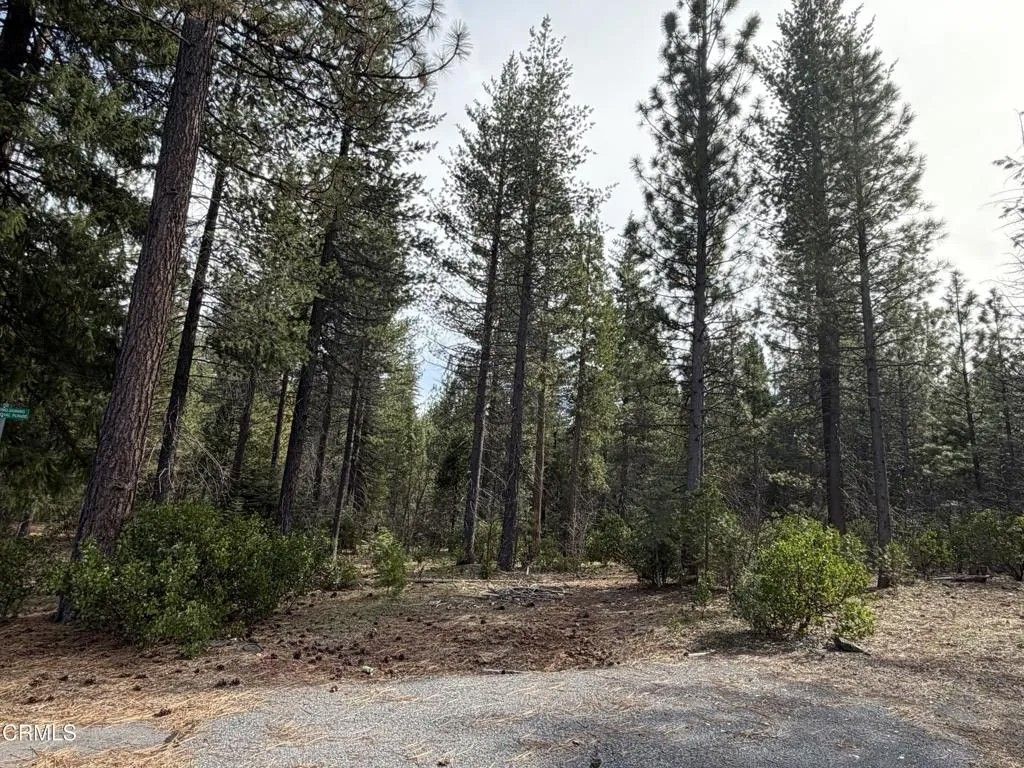 Photo of 0 Kirby, Burney, CA 96013 (MLS # V1-35489)