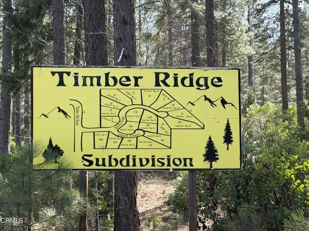 Photo of 0 Kirby, Burney, CA 96013 (MLS # V1-35489)