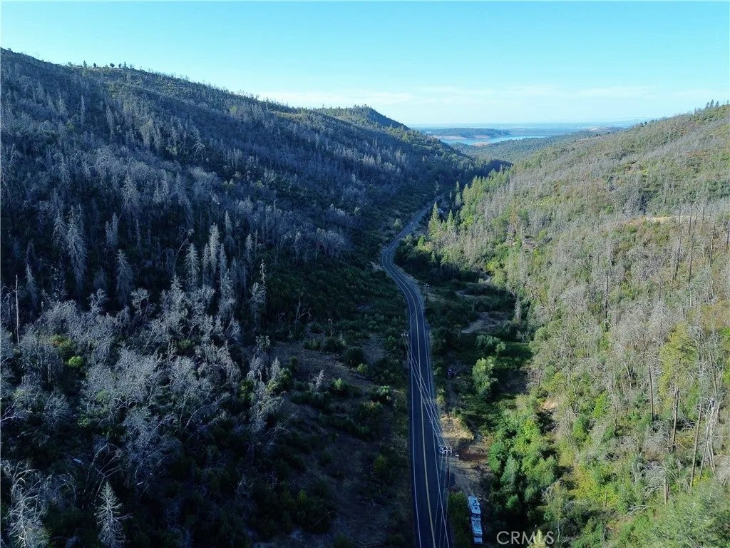 Photo of 0 Oro Quincy Highway, Berry Creek, CA 95916 (MLS # OR26201407)