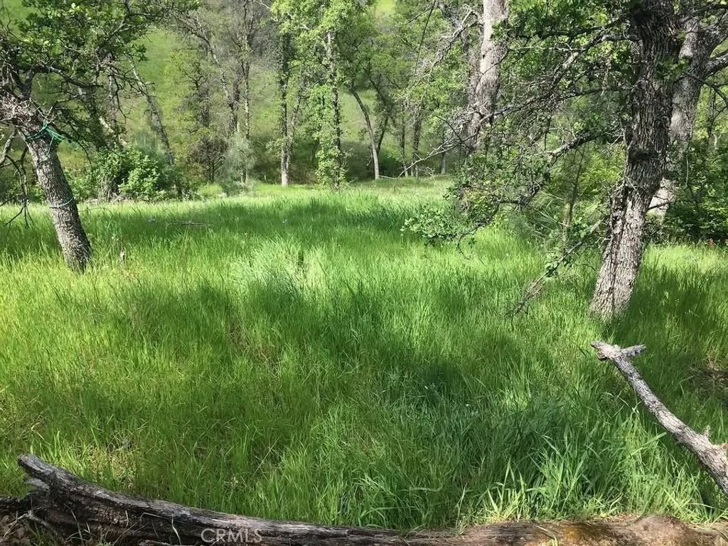 Photo of 16368 Lariat Loop, Corning, CA 96021 (MLS # SN26038600)