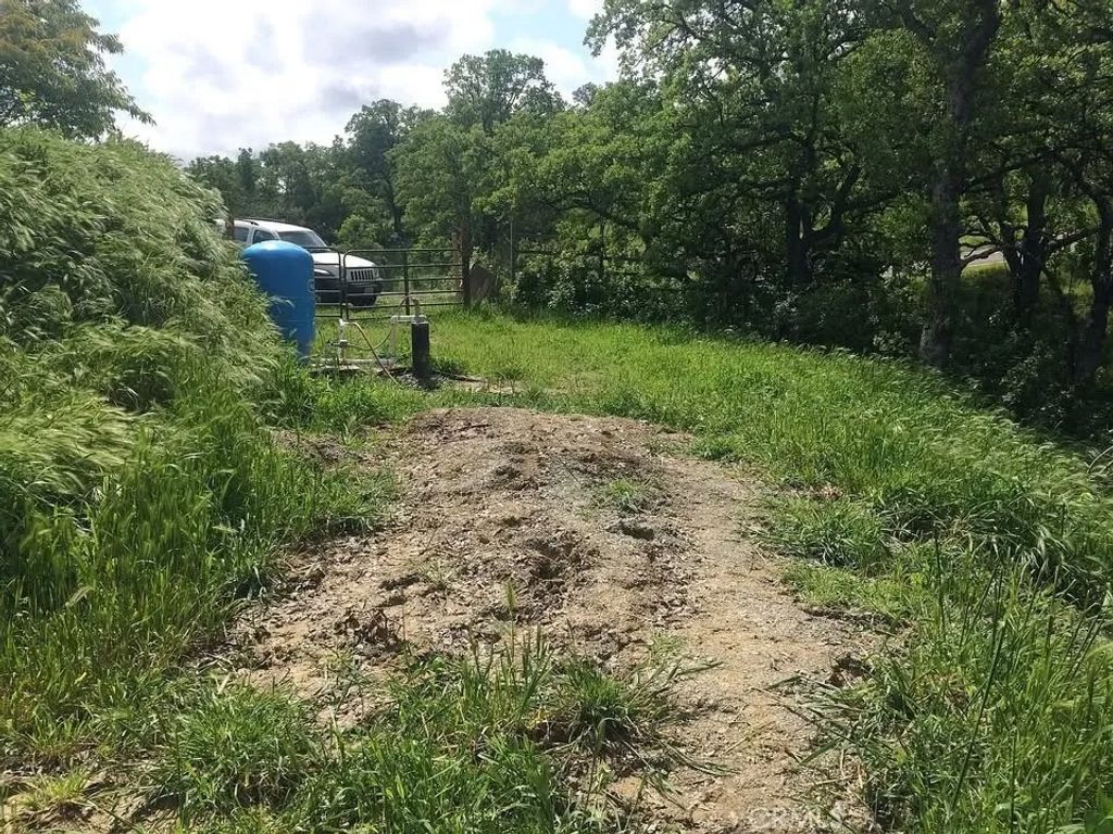 Photo of 16368 Lariat Loop, Corning, CA 96021 (MLS # SN26038600)