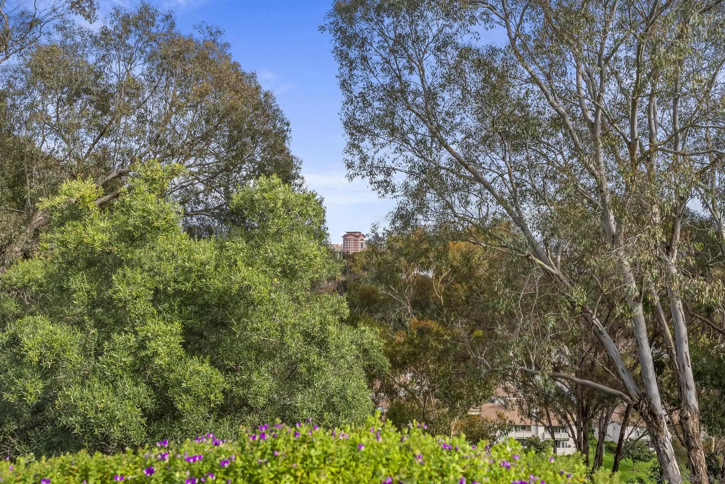 8871 Caminito Primavera