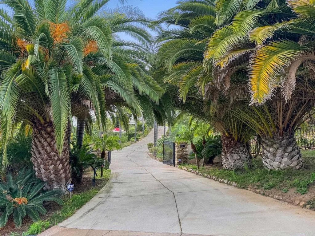 3611 Monserate Hill Court