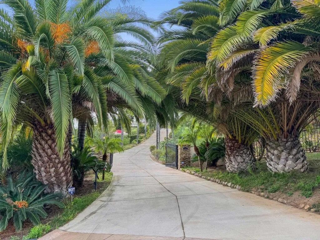 Photo of 3611 Monserate Hill Court, Fallbrook, CA 92028 (MLS # NDP2603113)