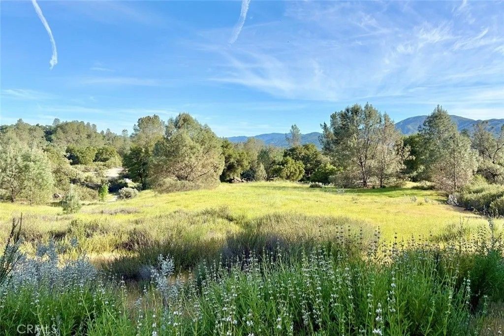 Photo of 75370 Turkey Ln, Bradley, CA 93426 (MLS # NS26091978)
