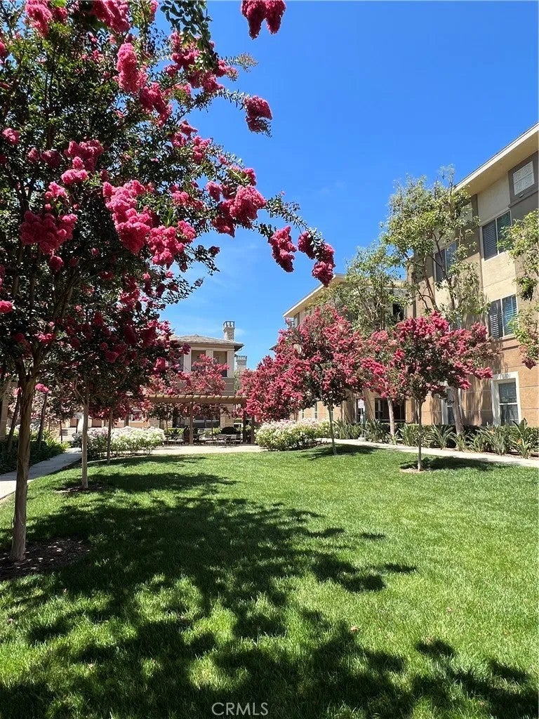 16075 Lancet Drive