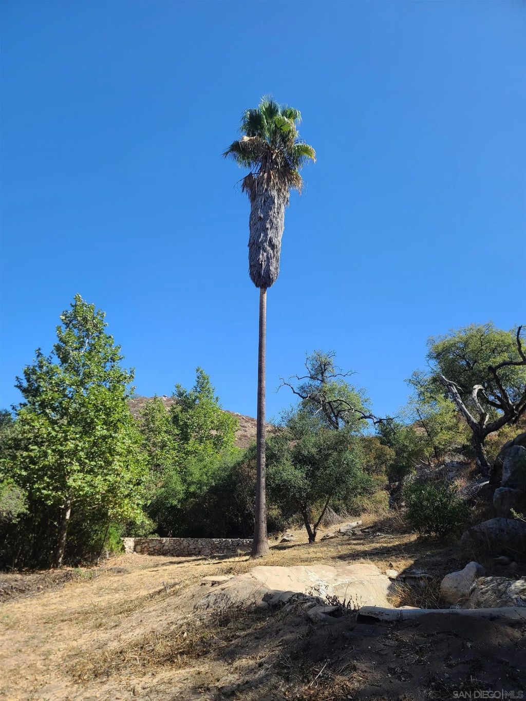 Photo of 19360 Camino Vista Rd, Ramona, CA 92065 (MLS # 250037643)