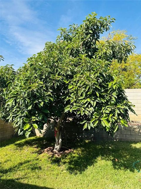 Tiny photo for 15162 Cambria Street, Fontana, CA 92335 (MLS # HD25247221)