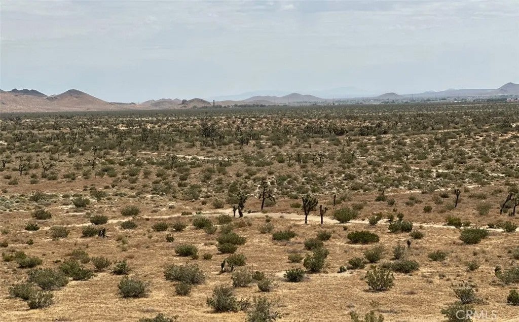 34529318 Mojave