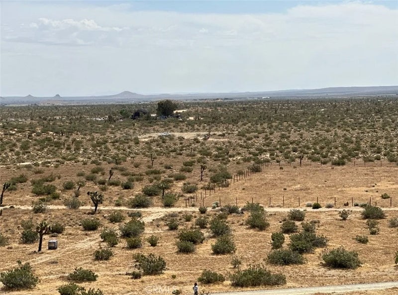 34529318 Mojave