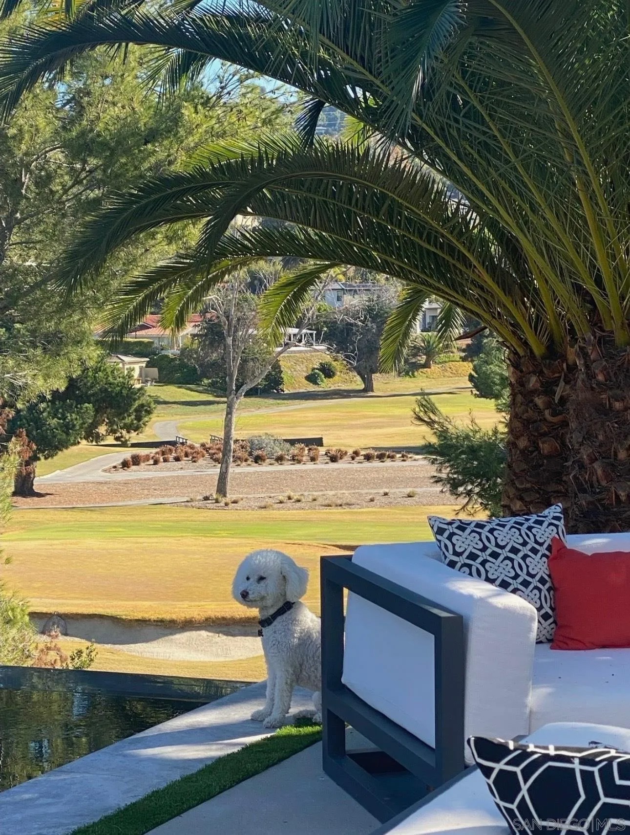 7026 Estrella De Mar Rd