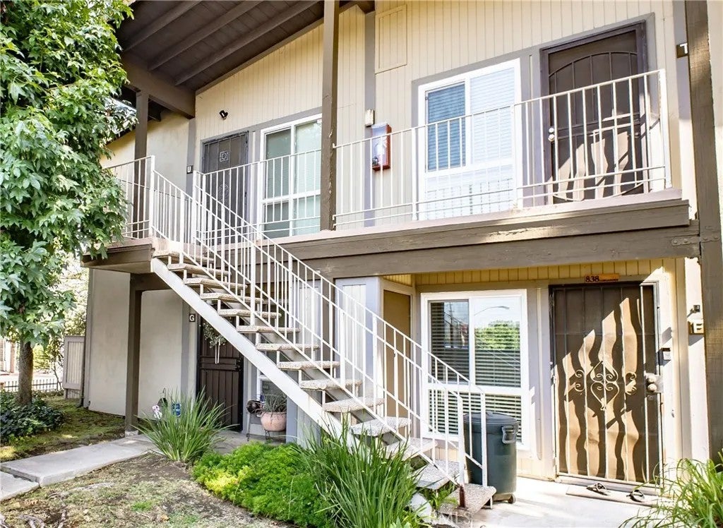 838 Coriander U