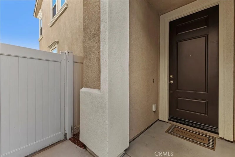 24174 Carnation