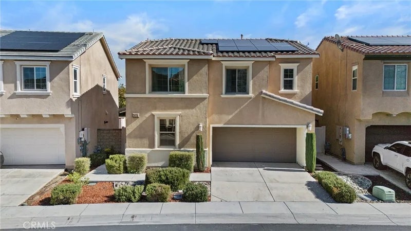 24174 Carnation