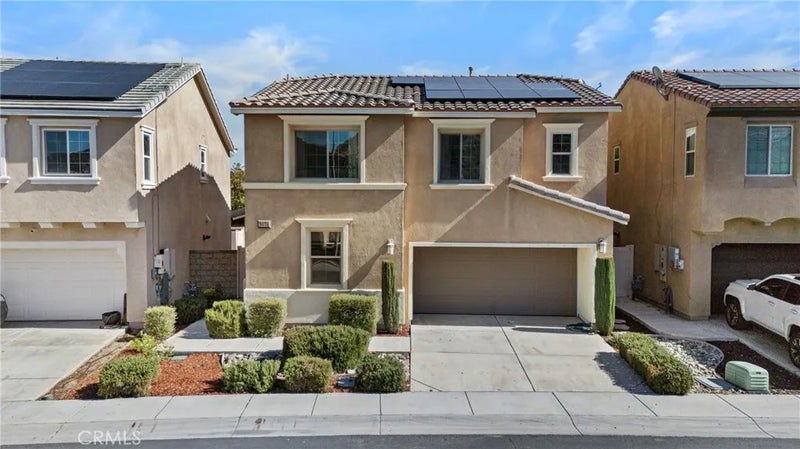 24174 Carnation