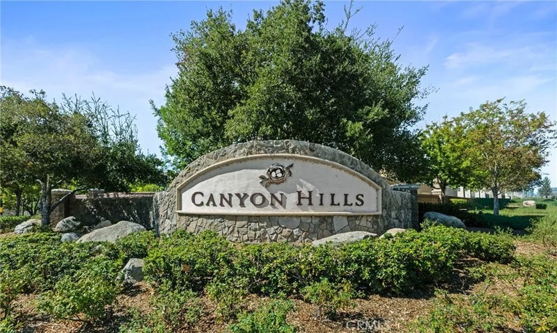 24174 Carnation