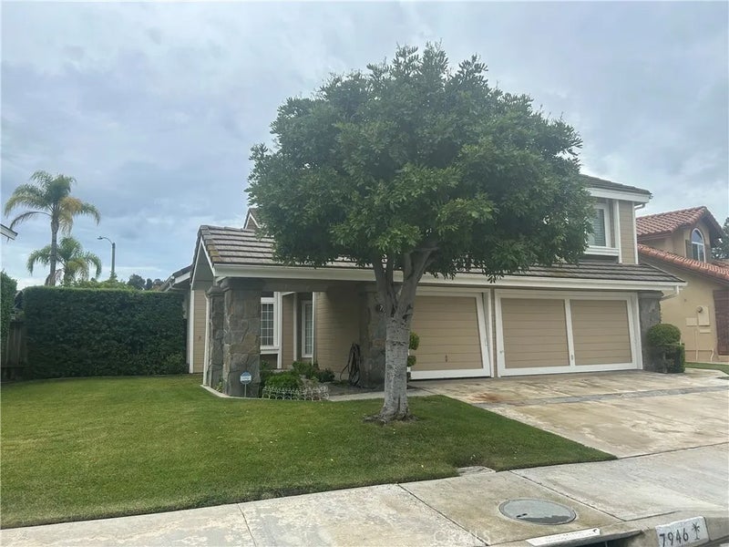 7946 E Elderwood
