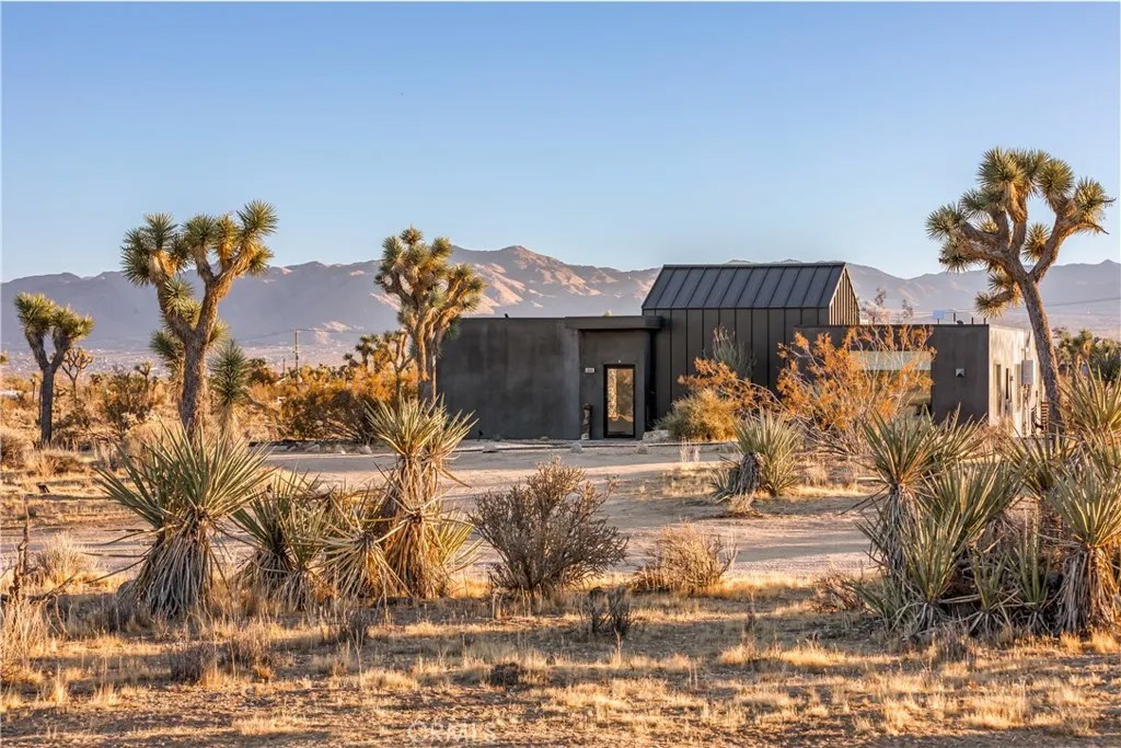 59068 Buena Vista