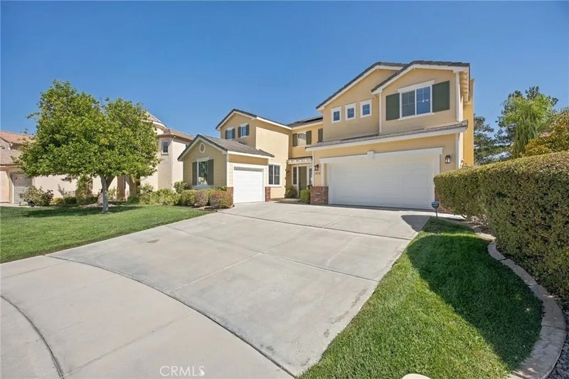 31538 Whitefield Court