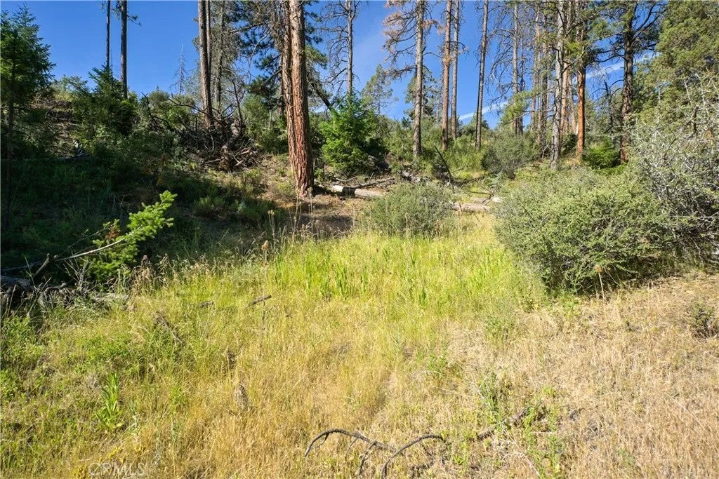 Photo of 1 Duzel Creek Road, Fort Jones, CA 96032 (MLS # SN26135037)