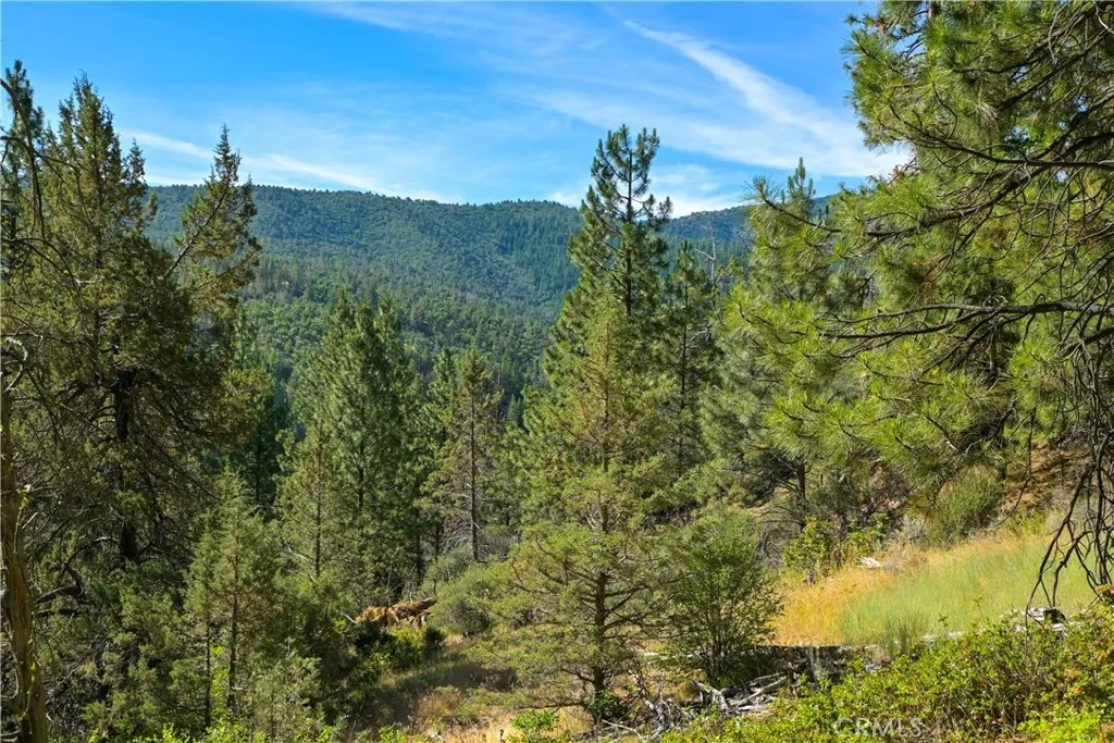 1 Duzel Creek Road
