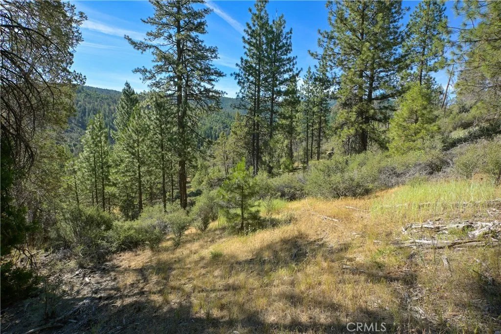 1 Duzel Creek Road
