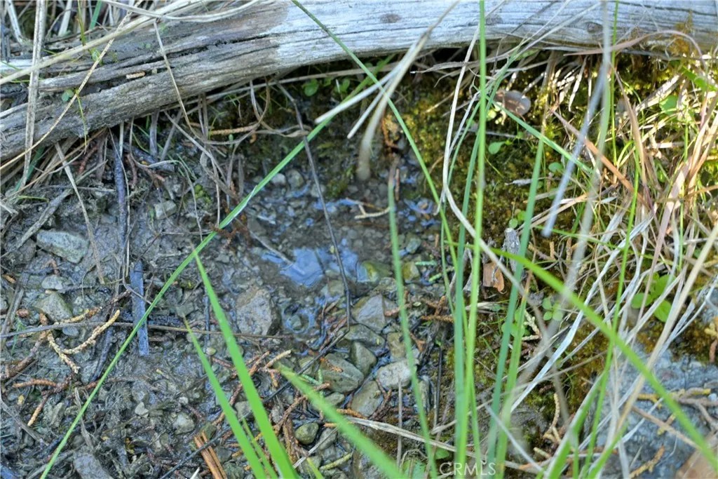 1 Duzel Creek Road