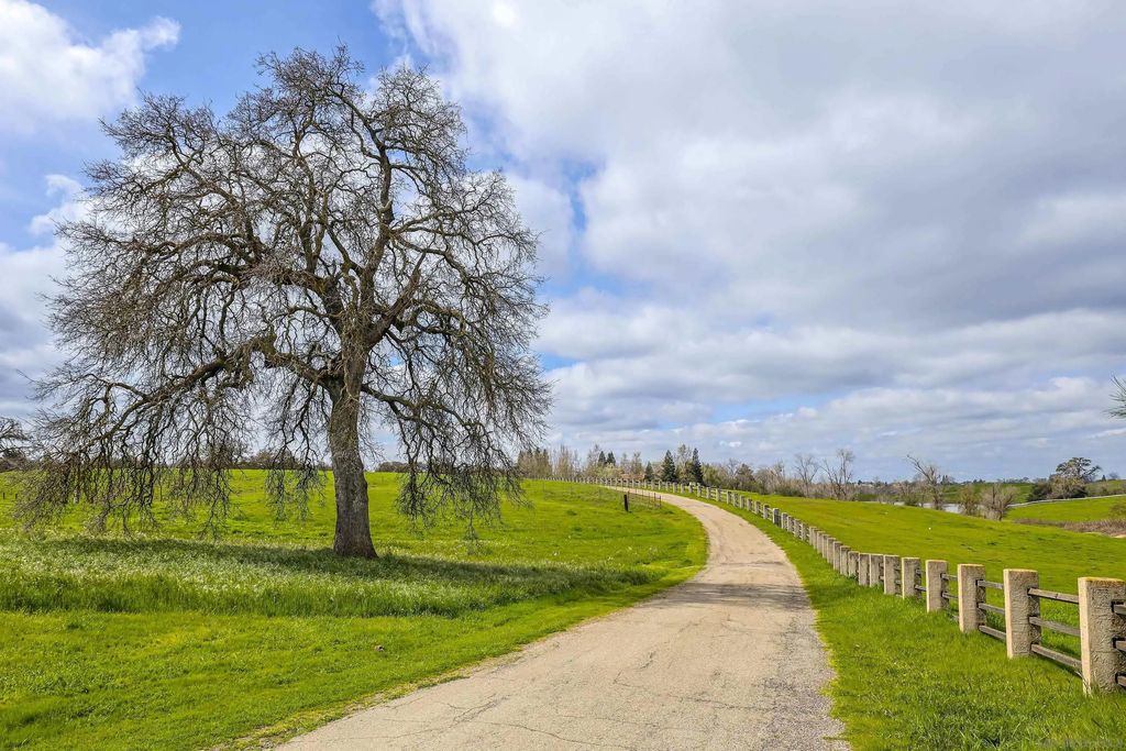 Photo of 24943 N McIntire Road, Clements, CA 95227 (MLS # 260006707)