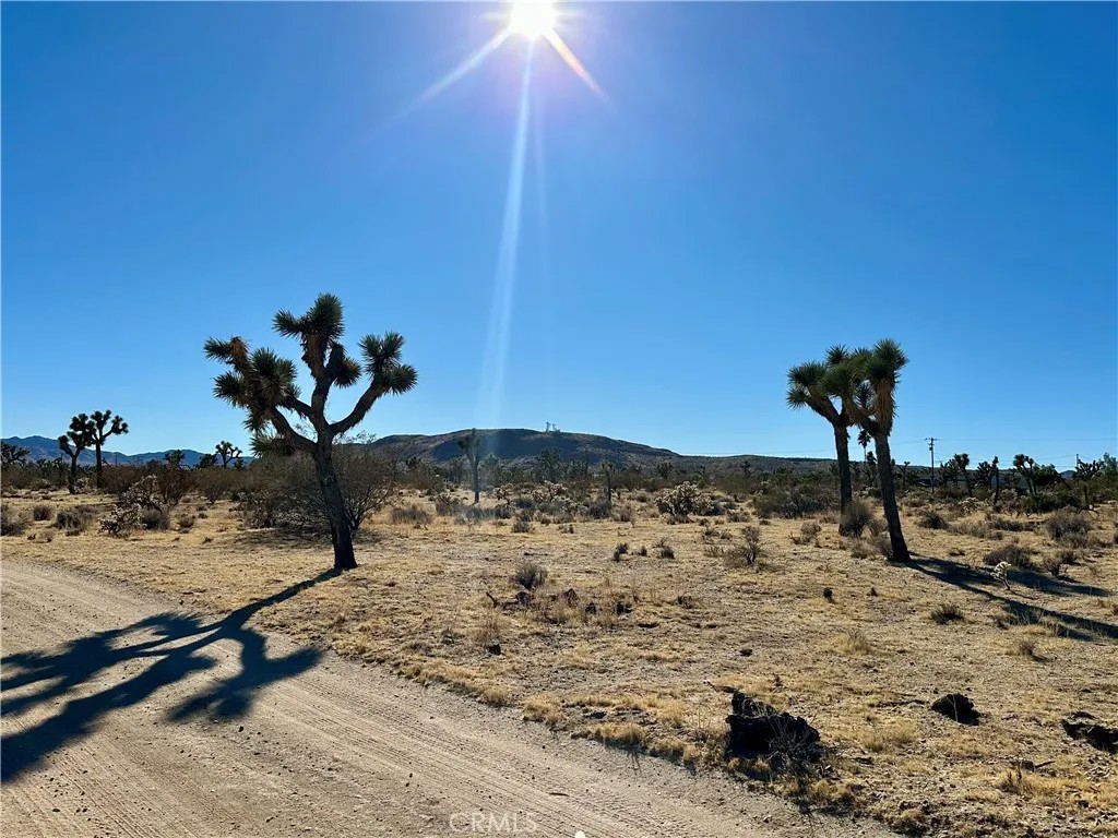 4726 Paradise View