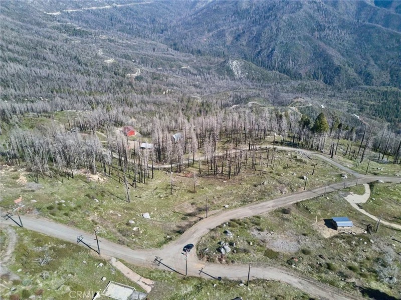 7000 Pine View