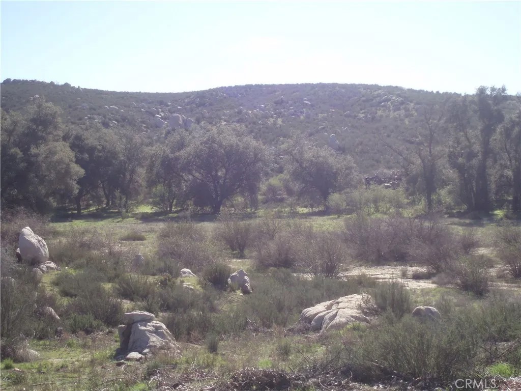0 Willow Canyon