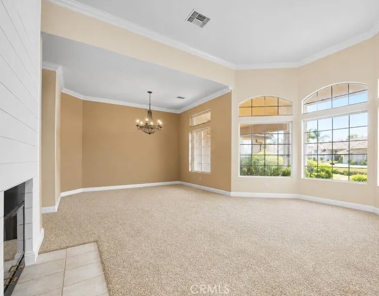 13206 Monarch Palm