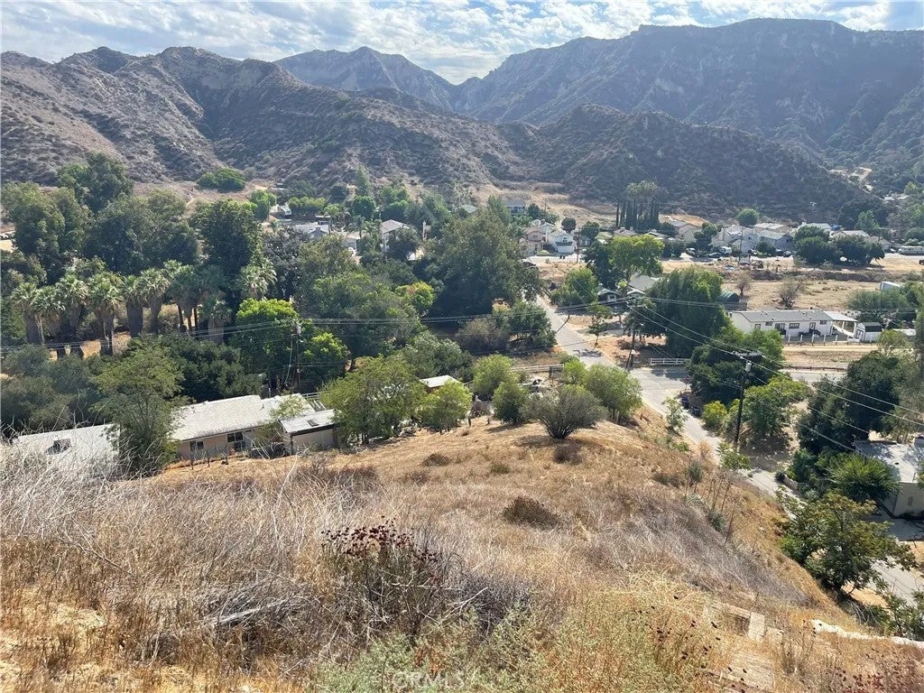 0 Chiquita Canyon RD