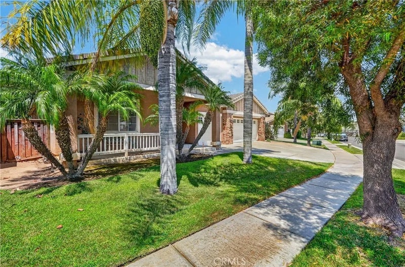 28209 Basswood