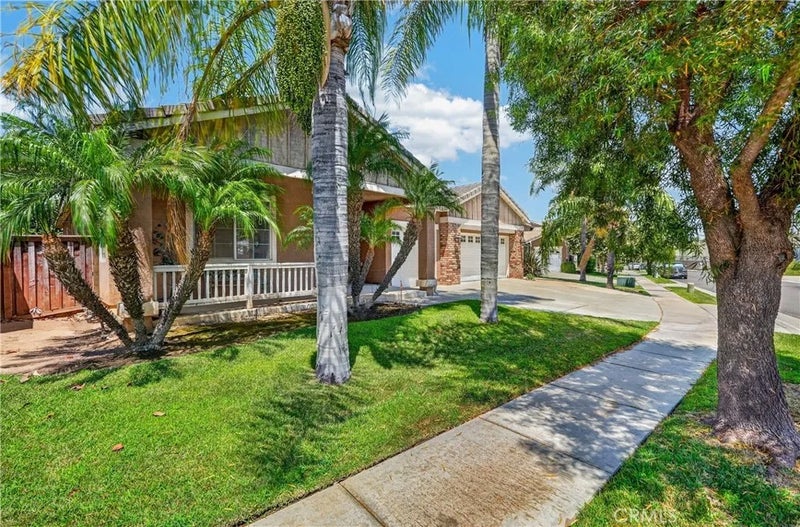 28209 Basswood