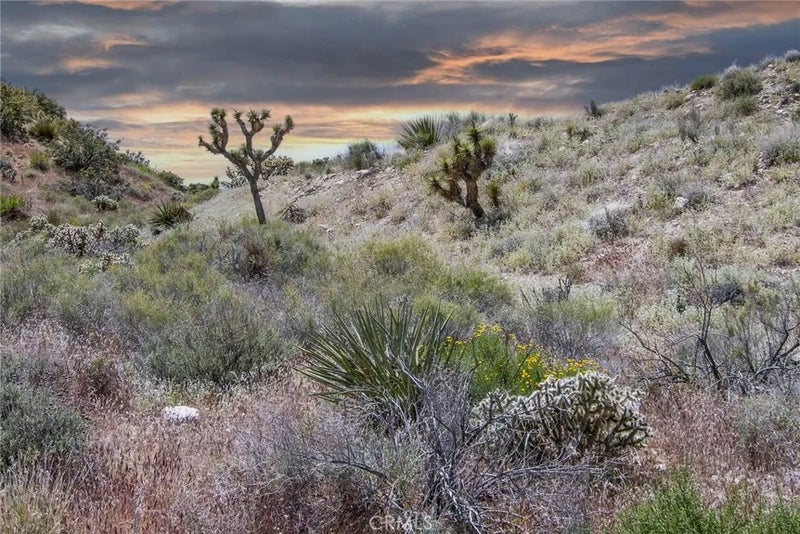 54129 Pinon