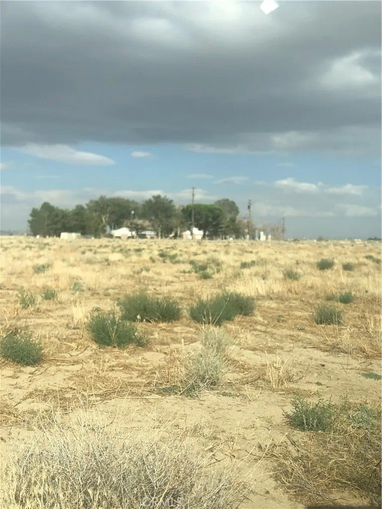 70 Antelope
