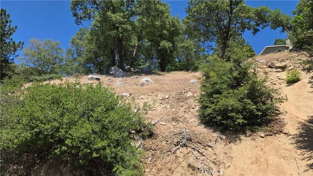 0 Edelweiss
