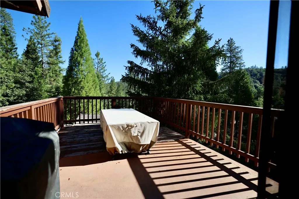 40547 Saddleback