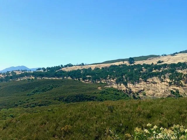 10455 Sky High Ridge