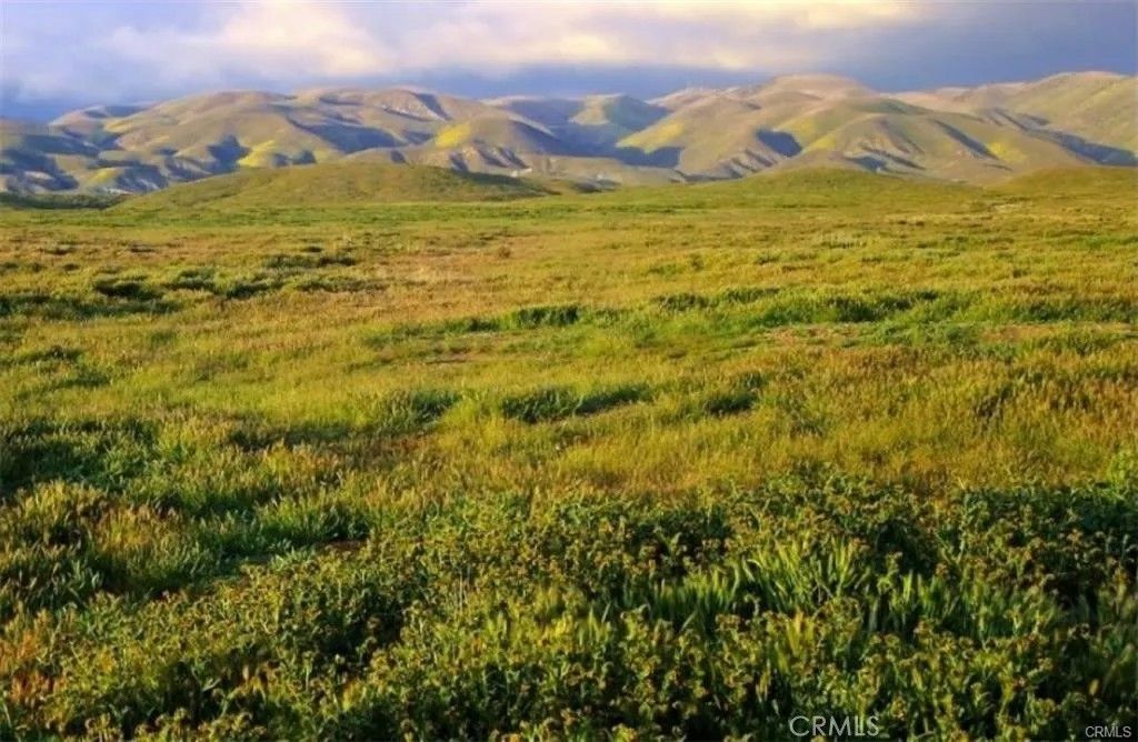 Photo of 0 Burbank, California Valley, CA 93453 (MLS # PW26072807)