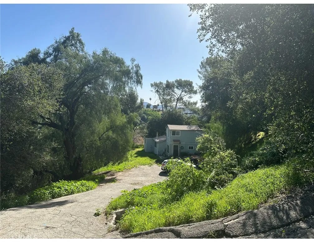 12211 Forest Trail
