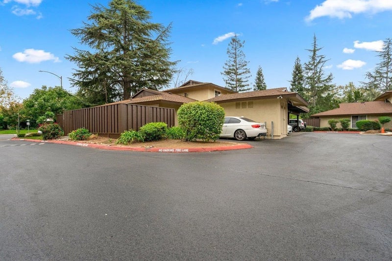 5024 Pine Tree Terrace