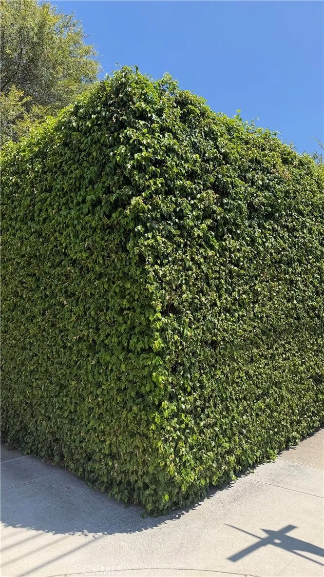300 N Carmelo