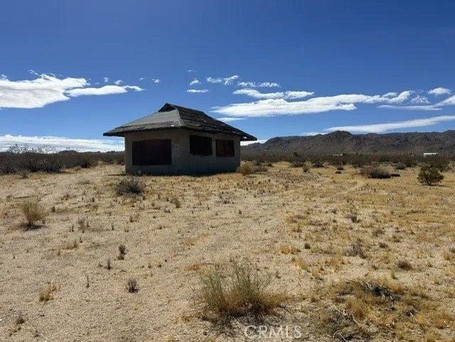 0 Joshua Tree