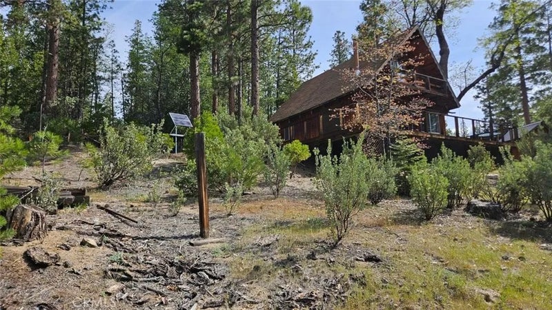 46336 Silvertip
